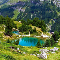 Swiss Van Java